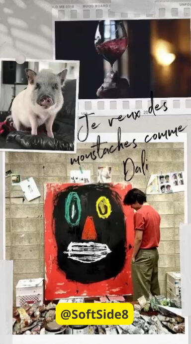 Je veux des moustaches comme Dali